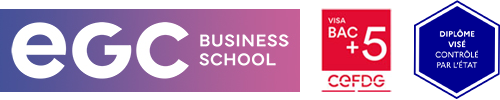VISA Bac+5 EGC Business School